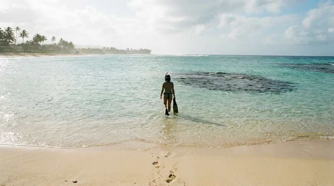 A snorkeler entering calm, clear water straight from the beach