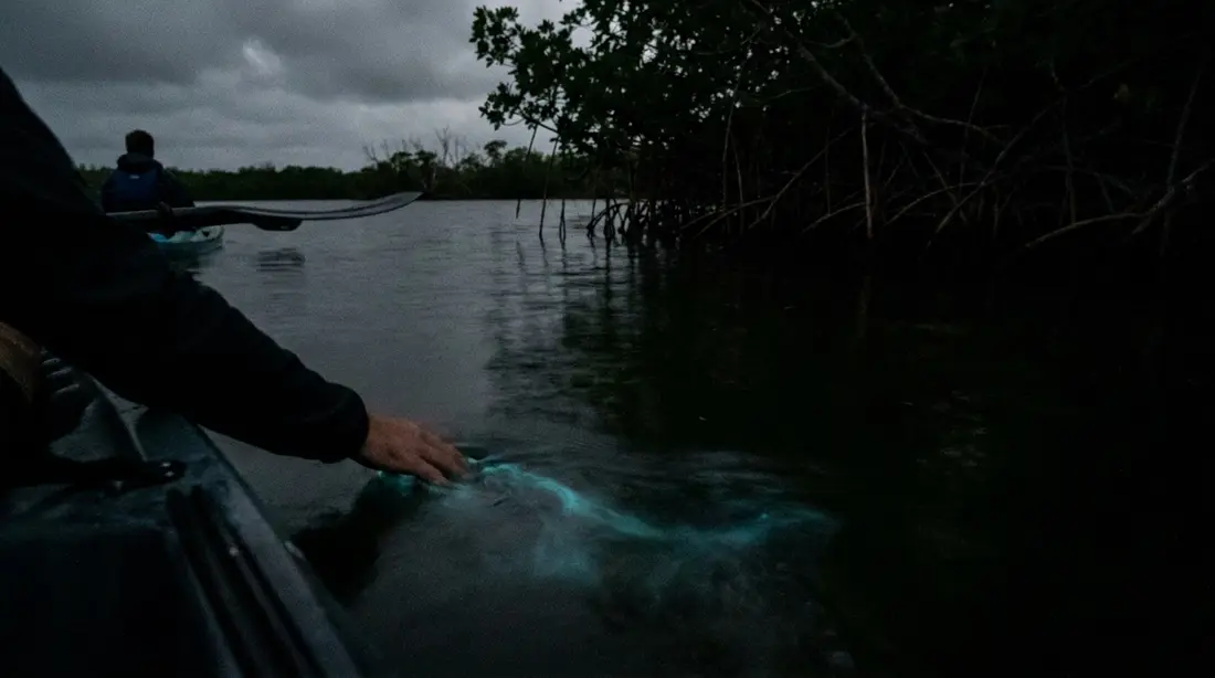 A hand trailing a blue-green glow through dark water