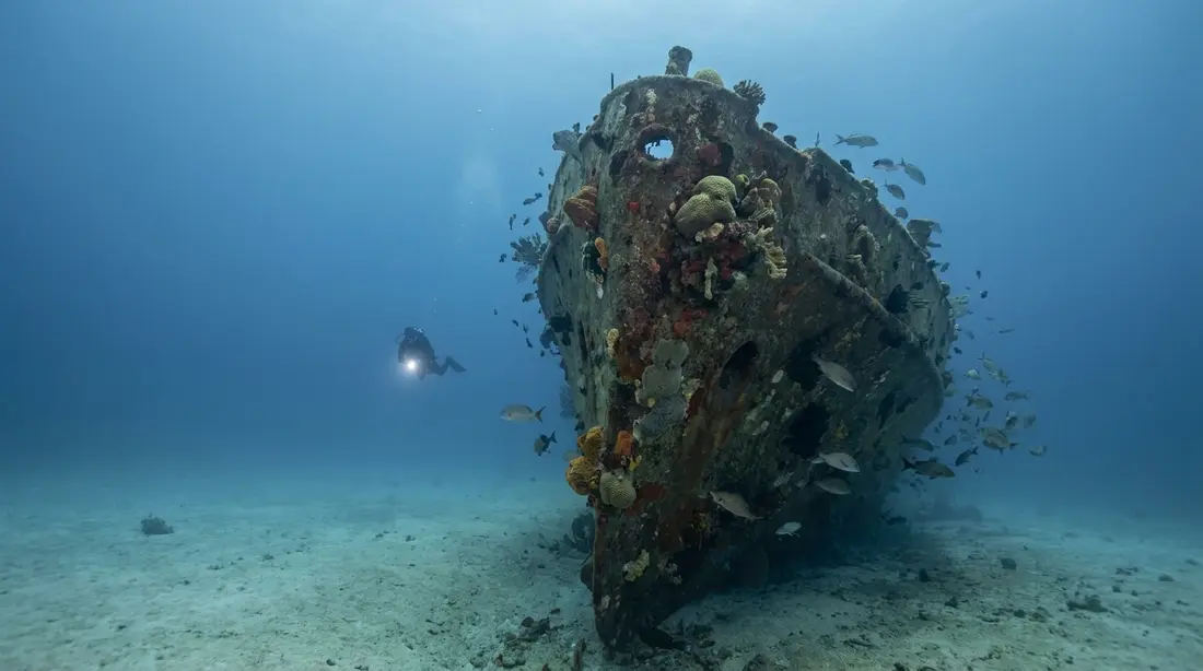 A diver approaching a coral-covered shipwreck