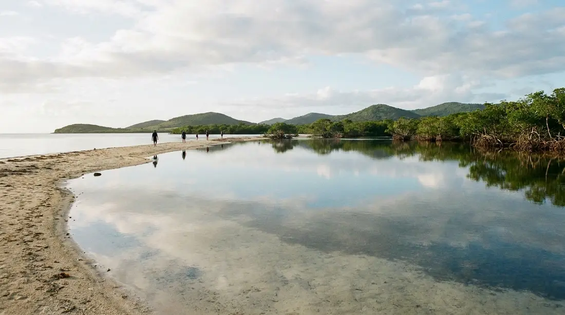 Still water and a sandy spit in a mangrove-lined bay