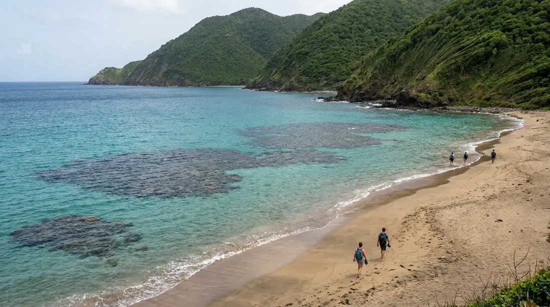 Reef patches under turquoise water on a beach beneath green hills