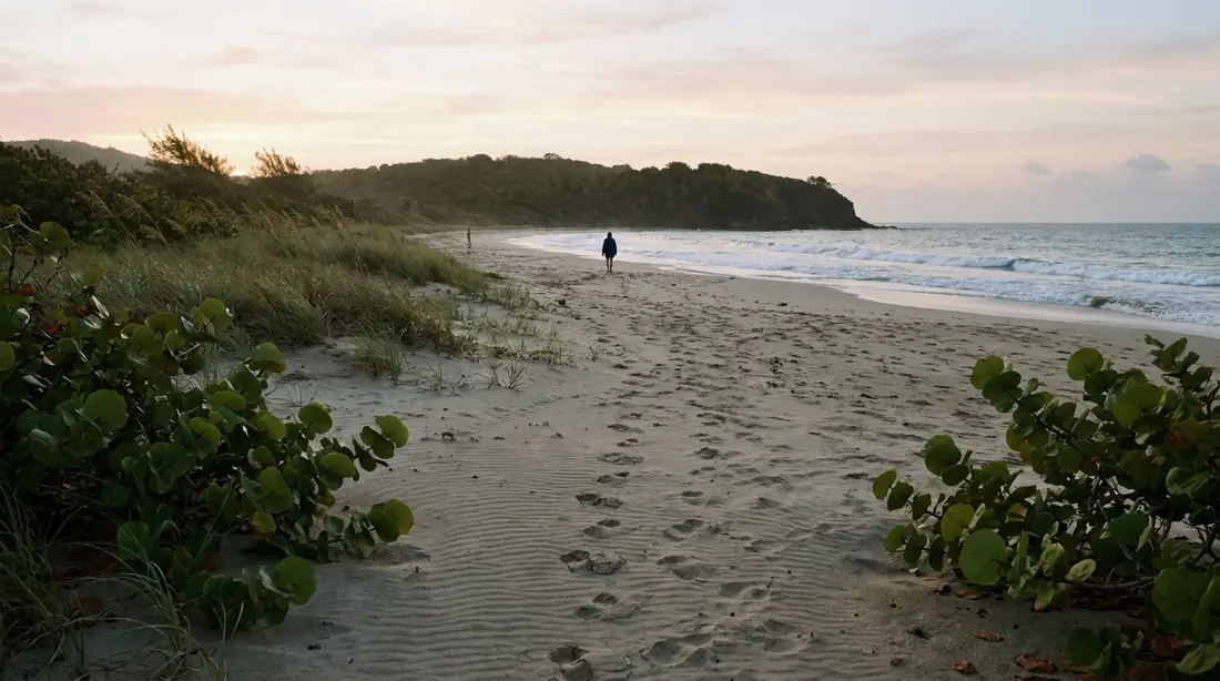 A long empty south-shore beach at first light