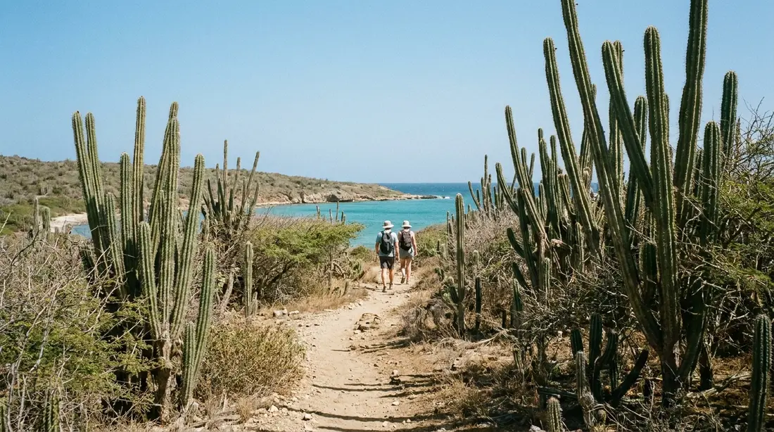 A footpath through cactus and scrub toward a blue bay