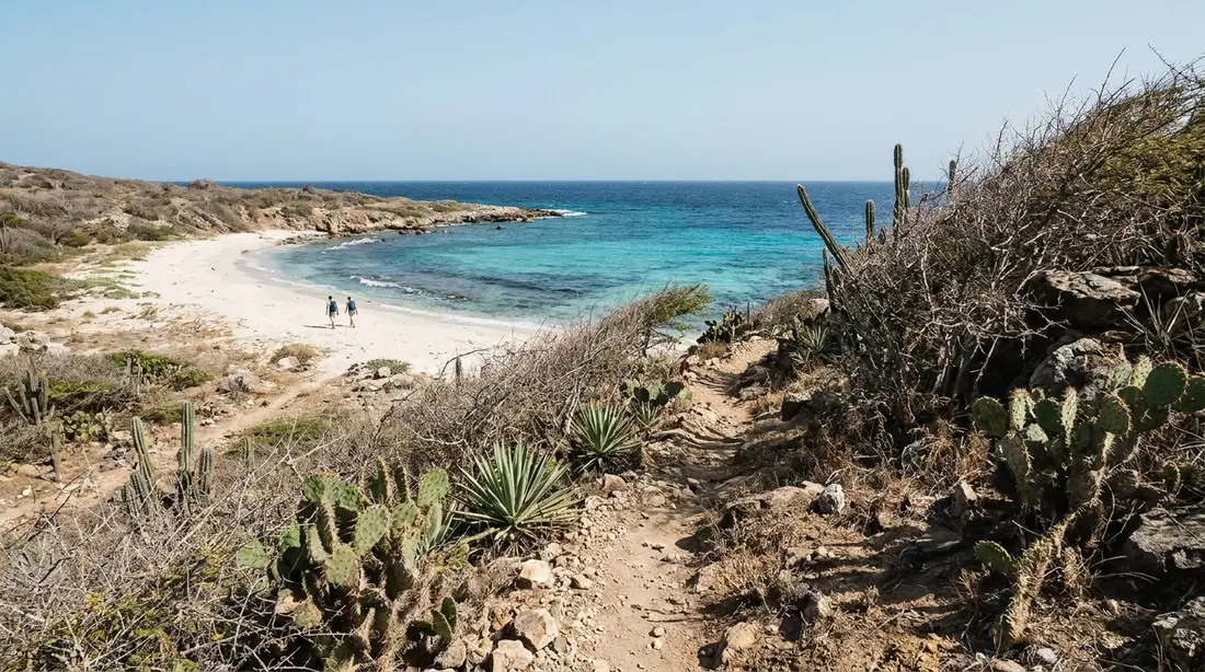A hike-in trail dropping toward an undeveloped reef-fringed bay