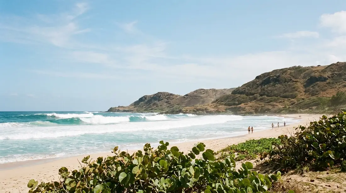 Large swell rolling onto an empty north-shore beach