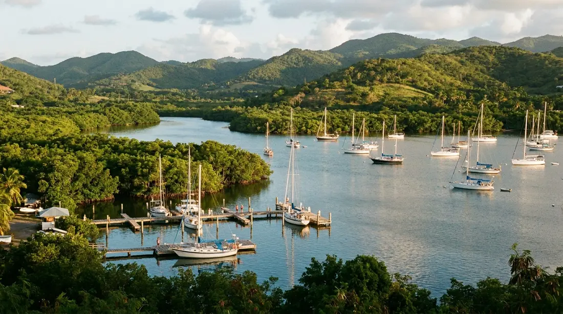 Sailboats at anchor in a sheltered mangrove bay