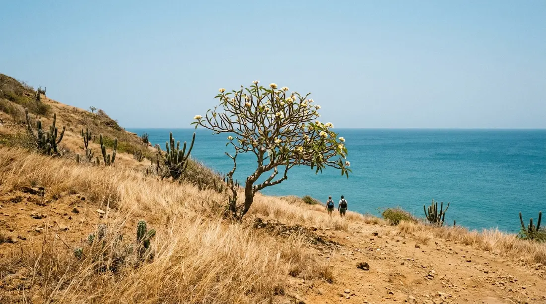 Golden dry-season hills above a flat blue sea