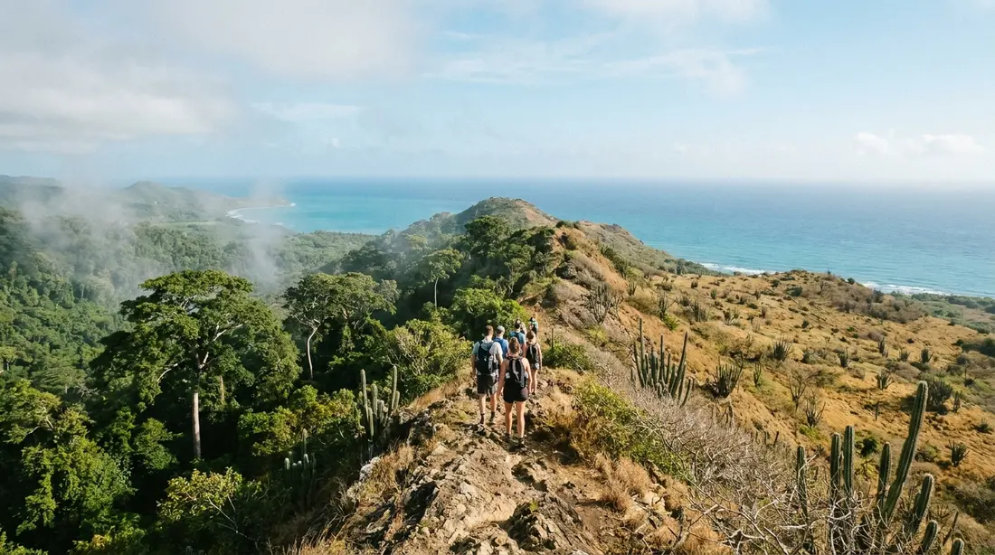 Rainforest and cactus scrub meeting on one island ridge