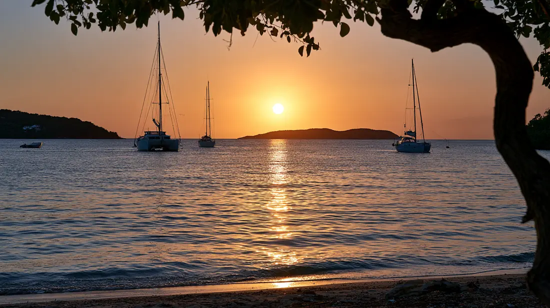 Boats at anchor under a tree-framed sunset