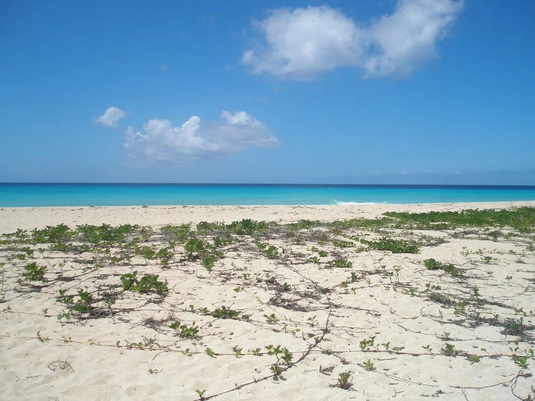 The beach at Sandy Point National Wildlife Refuge, St. Croix