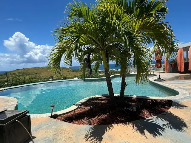 Hook 'em on Paradise, photo 34