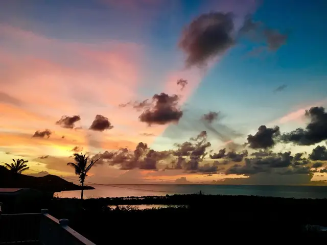 Hook 'em on Paradise, photo 35