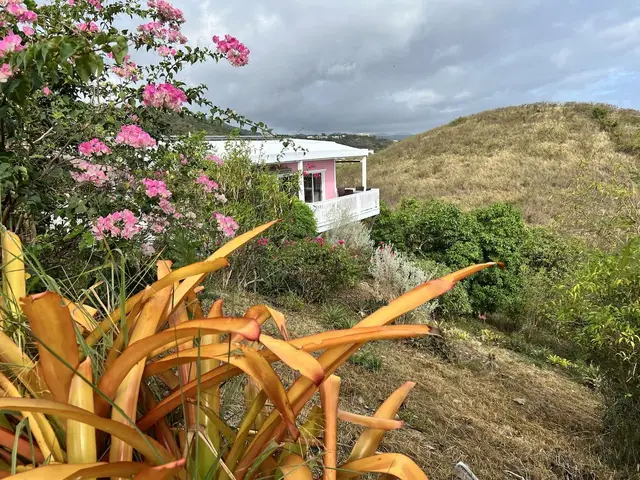 Bananaquit Bungalow, photo 7